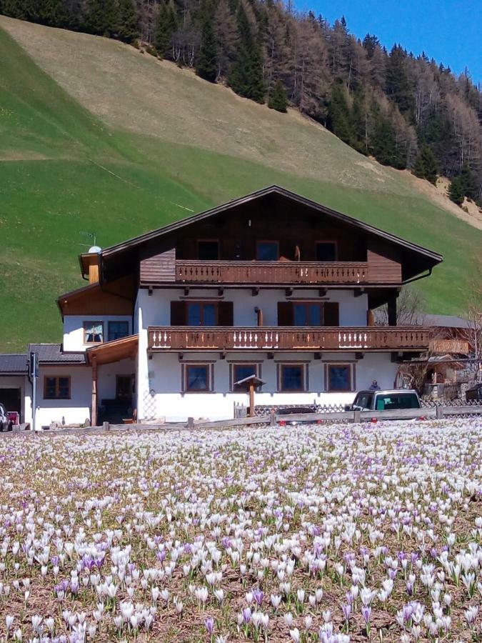 Pension&Appartament Anna Predoi Extérieur photo